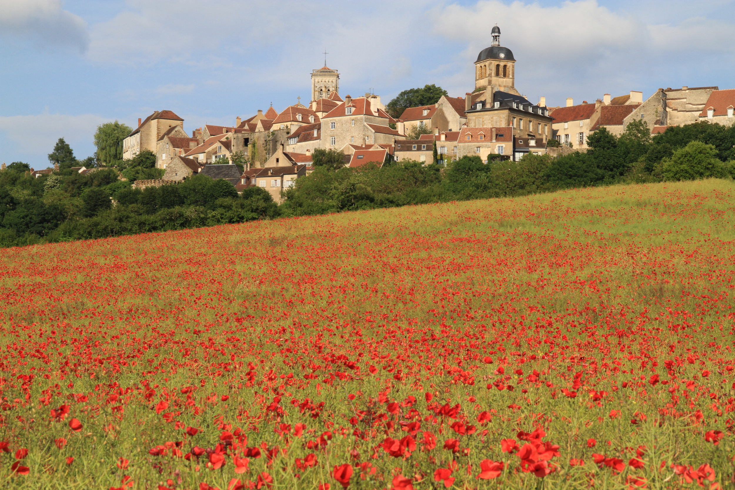 Vézelay & the hills of Northern Burgundy