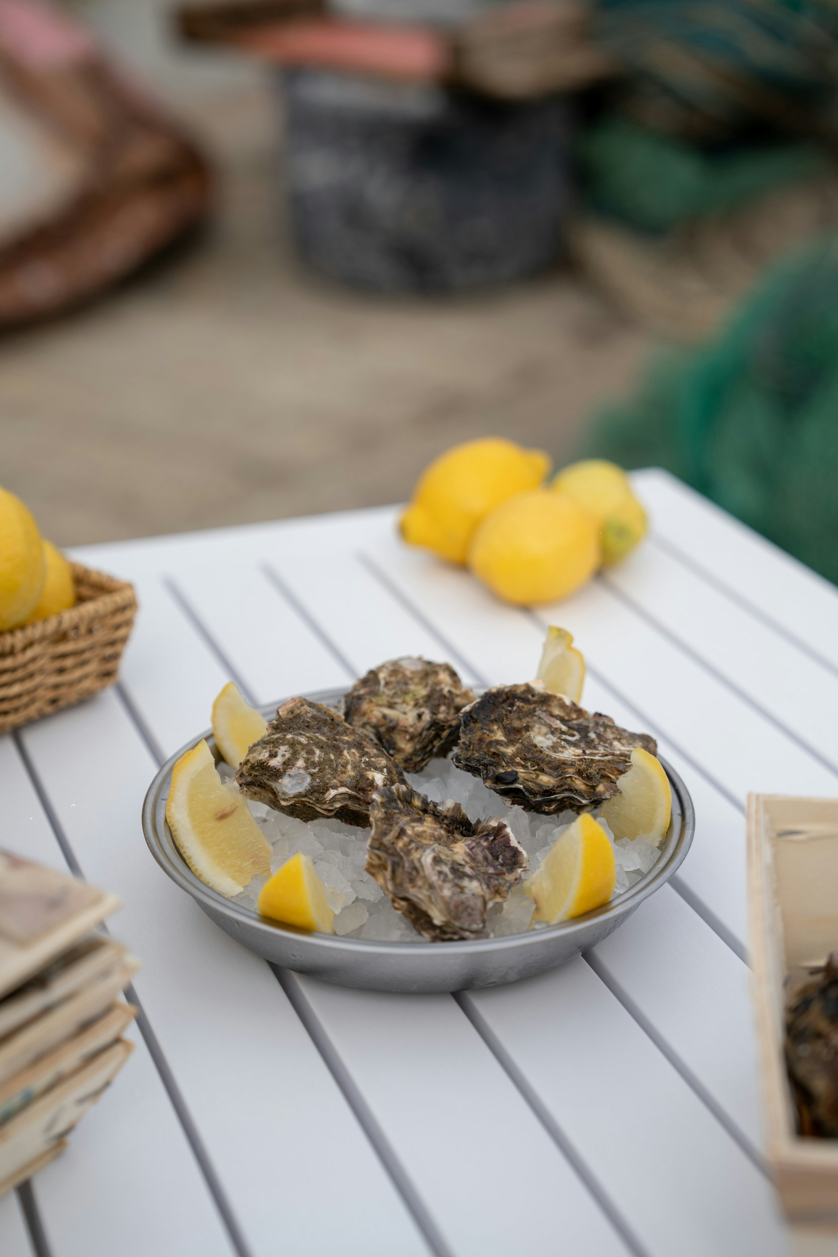 Oysters_2-GASTRO_OCCITANIE-1667x2500-1 Oyster tasting
