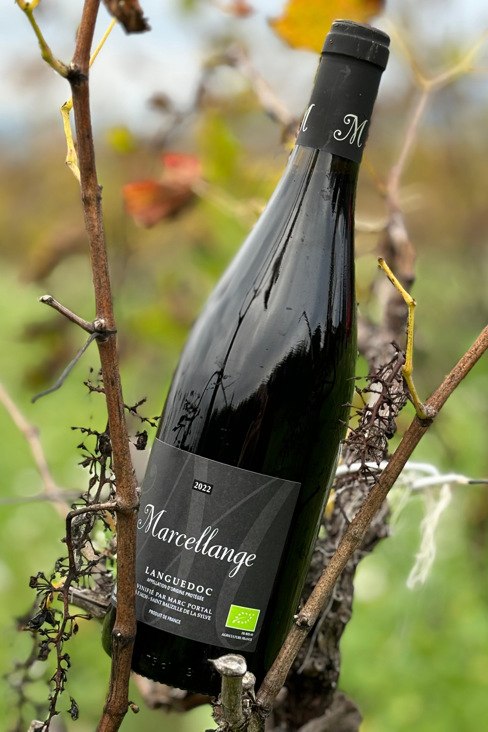 Wine-GASTRO_OCCITANIE-1667x2500-1 Wine bottle