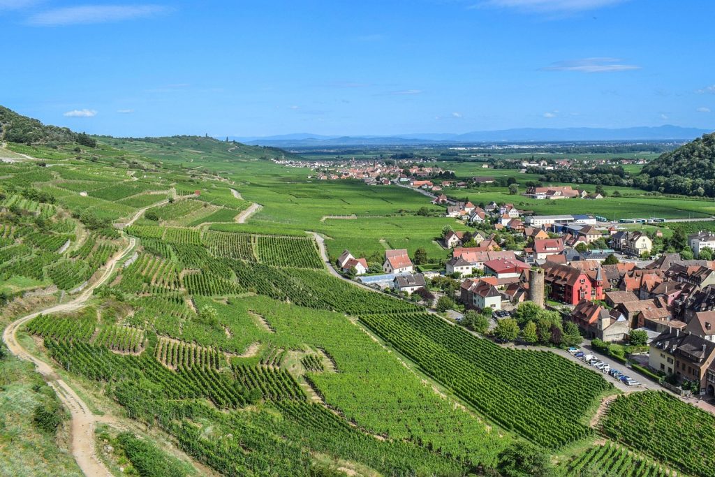 alsace_panorama-GREEN_ALSACE-1278x852-1