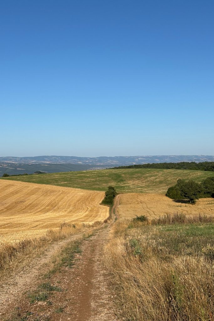 Countryside-GREEN_OCCITANIE-1667x2500-1 Countryside