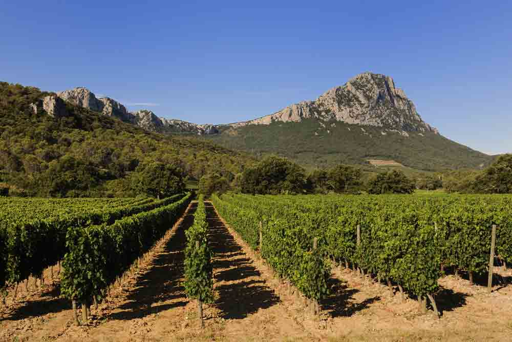Pic-saint-loup-vignobles_pic-saint-loup_1000x667
